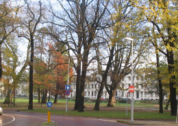 Haarlem_Kenaupark